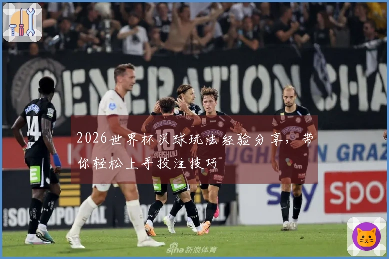 2026世界杯买球玩法经验分享，带你轻松上手投注技巧
