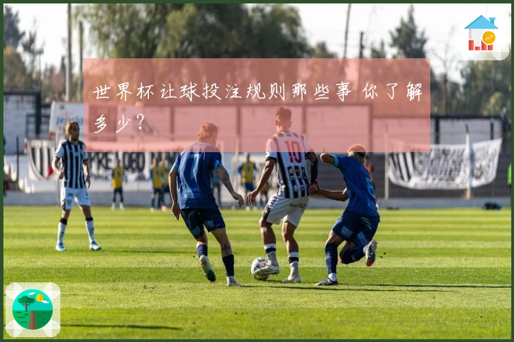 世界杯让球投注规则那些事 你了解多少？