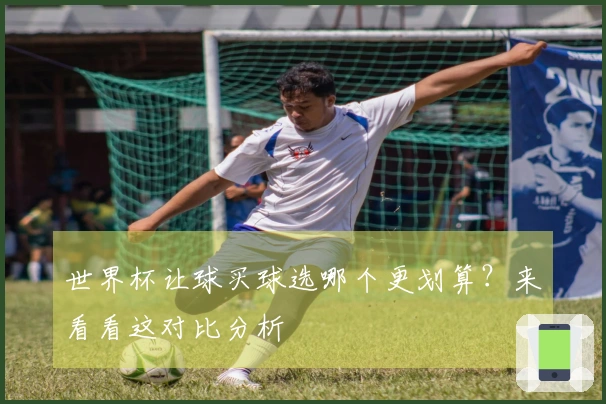 世界杯让球买球选哪个更划算？来看看这对比分析